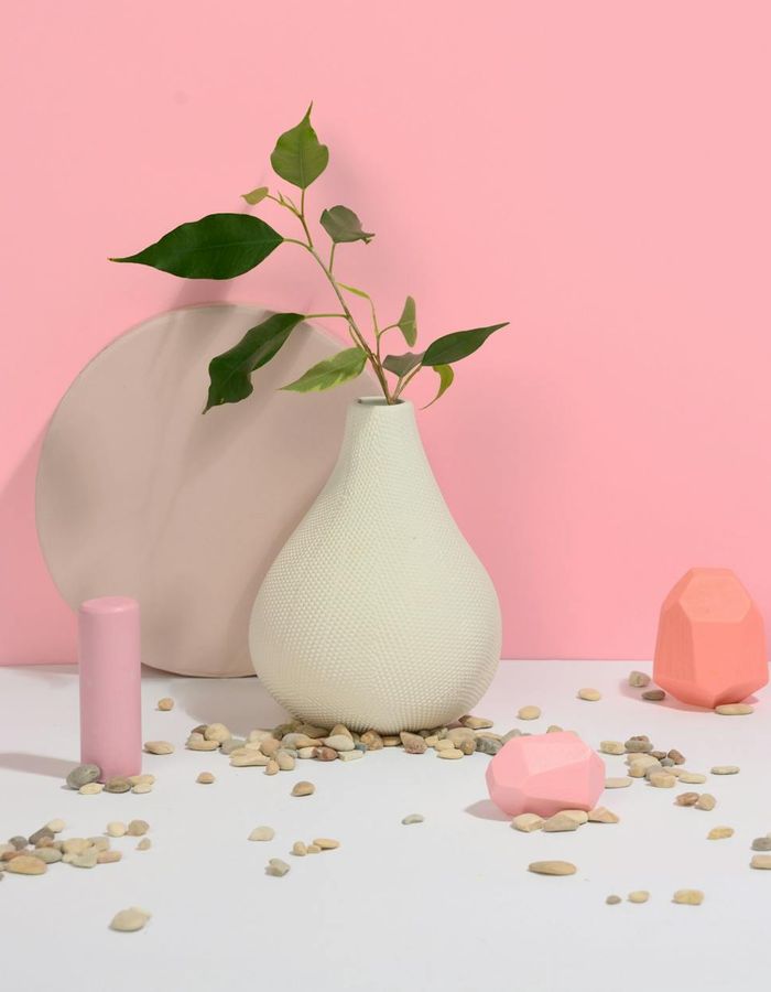 Geometric botanical shapes representing internal balance and health